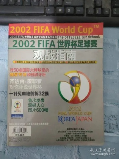 2002世界杯观战指南 2002年世界杯视频录像-第3张图片-www.211178.com_果博福布斯