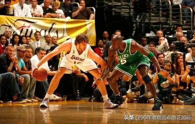 20082009nba总决赛回放 2008-2009nba总决赛录像-第3张图片-www.211178.com_果博福布斯